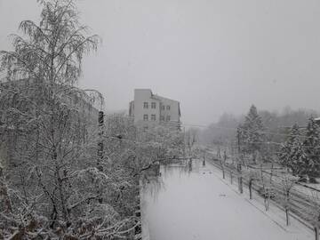 Фотографии Хостелы Avino Apart - Hostel г. Львов (Украина) №1 Фото Хостелы Avino Apart - Hostel г. Львов 1