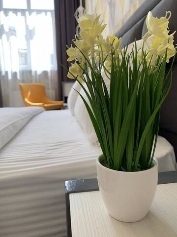 Фотографии Апартаменты OK Apartments Nasypna г. Львов (Украина) №3 Фото Апартаменты OK Apartments Nasypna г. Львов 3