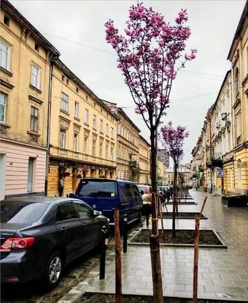 Фотографии Апартаменты 4you apartaments г. Львов (Украина) №3 Фото Апартаменты 4you apartaments г. Львов 3