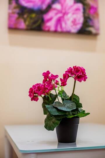 Фотографии Апартаменты Apartment in Stavropigiyska г. Львов (Украина) №3 Фото Апартаменты Apartment in Stavropigiyska г. Львов 3