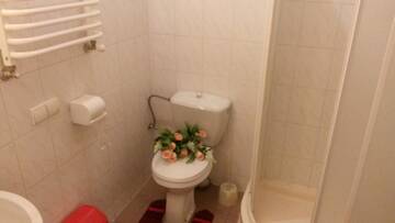 Фото номера Люкс Апартаменты Apartament-Minihotel Elpida г. Львов 10