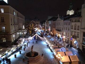 Фото номера Апартаменты: Площадь Рынок, 34 Апартаменты Historical Centre Apartments г. Львов 13