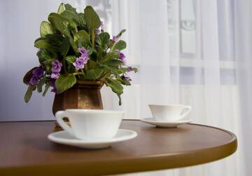 Фото номера Апартаменты Апартаменты Lviv Centre Apartment г. Львов 20