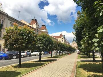 Фото номера Апартаменты с 1 спальней - Ул. Дудаева, 4 Апартаменты InLviv Apartments г. Львов 30