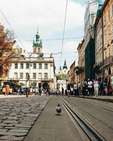 Фото номера Апартаменты Апартаменты Edem Apartments in Lviv г. Львов 41