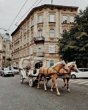 Фото номера Апартаменты Апартаменты Edem Apartments in Lviv г. Львов 46