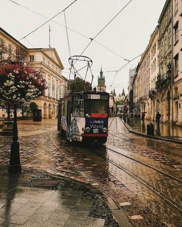 Фото номера Апартаменты Апартаменты Edem Apartments in Lviv г. Львов 24