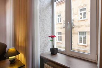 Фото номера Апартаменты Апартаменты Opera Theater Apartments г. Львов 40