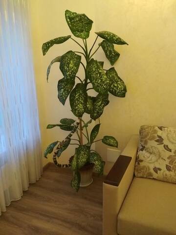 Фото номера Апартаменты с 1 спальней Апартаменты Apartment Pl. Rynok 34 г. Львов 9
