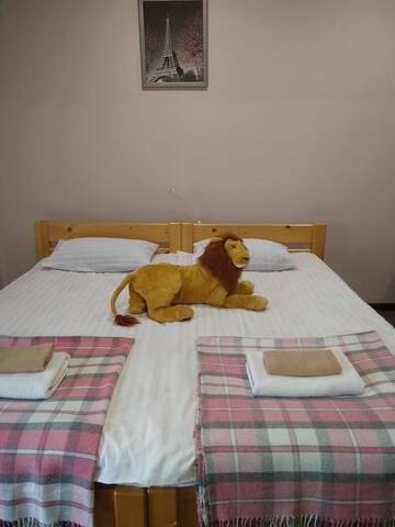 Фото номера Двухместный номер с 1 кроватью и душем Хостелы Avino Apart - Hostel г. Львов 3
