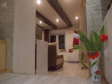 Фото номера Апартаменты с 1 спальней Апартаменты Lviv Amazing Rooftop Apartment г. Львов 38