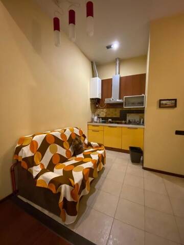 Фото номера Апартаменты-студио Апартаменты Apartment Lviv centre Doroshenka 19 г. Львов 37