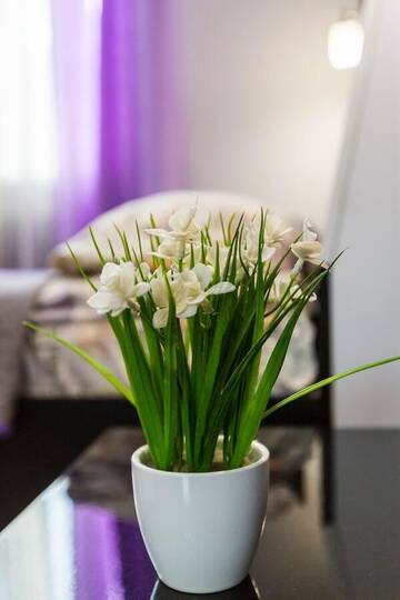 Фото номера Апартаменты с 1 спальней Апартаменты 8 Svyatoho Teodora Square Apartments г. Львов 11