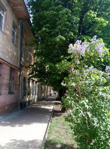 Фото номера Апартаменты Апартаменты Lviv appartment on Yaroslava Mudrogo 14 г. Львов 34