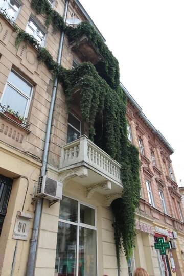 Фото номера Апартаменты-студио Апартаменты Cosy Apartment on Horodotska 86 г. Львов 21