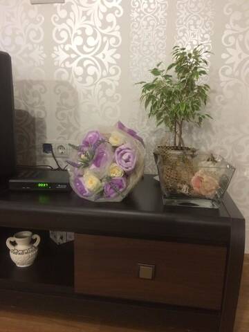Фото номера Апартаменты с 1 спальней Дома для отпуска House in Lviv г. Львов 18