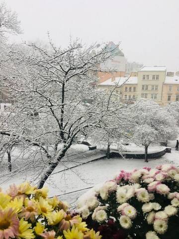 Фото номера Апартаменты с 3 спальнями Апартаменты Apartment on Valova 9 г. Львов 13