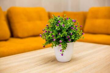 Фото номера Апартаменты Апартаменты Apartments in the center г. Львов 15