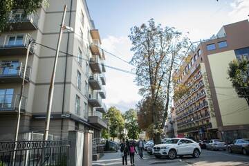 Фото номера Апартаменты Делюкс Апартаменты V.I.P apartment г. Львов 29