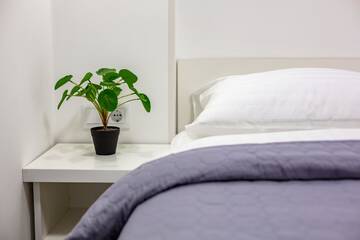 Фото номера Апартаменты с 1 спальней Апартаменты Cozy apartments center г. Львов 10