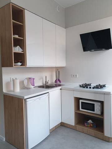 Фото номера Апартаменты с 1 спальней Апартаменты Apartment Scandinavian Loft г. Львов 9