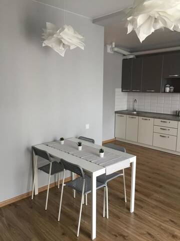 Фото номера Апартаменты с душем Апартаменты Scandinavian apartment г. Львов 12