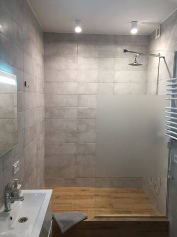 Фото номера Апартаменты с душем Апартаменты Scandinavian apartment г. Львов 13