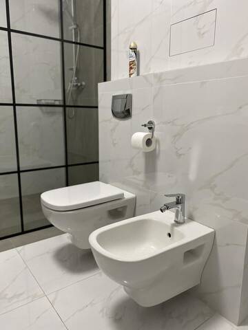 Фото номера Апартаменты с 2 спальнями Апартаменты Serbska Apartment г. Львов 29