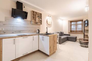 Фото номера Апартаменты с 1 спальней Апартаменты Staroevreyska timber apartment г. Львов 16