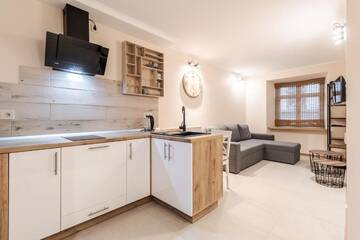 Фото номера Апартаменты с 1 спальней Апартаменты Staroevreyska timber apartment г. Львов 39