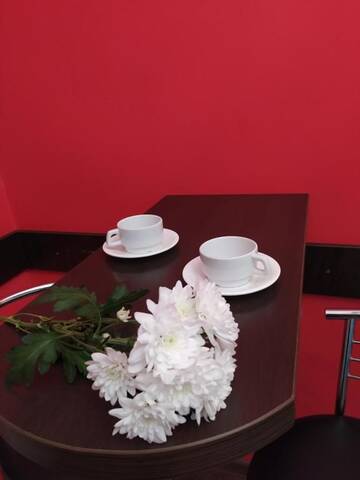 Фото номера Апартаменты с 1 спальней Апартаменты Cozy studio for couple near Polytechnic University г. Львов 22