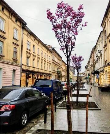 Фото номера Апартаменты Апартаменты 4you apartaments г. Львов 46