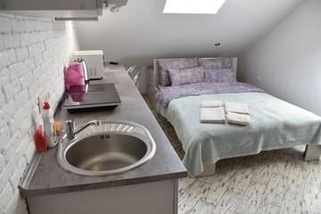 Фото номера Лофт Апартаменты Central Mansard Studios г. Львов 3