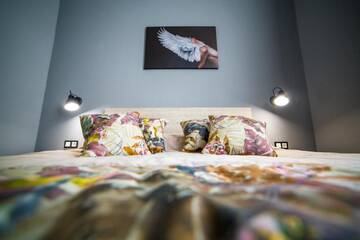 Фото номера Апартаменты-студио Отель Apart Hotel on Rynok Square г. Львов 3