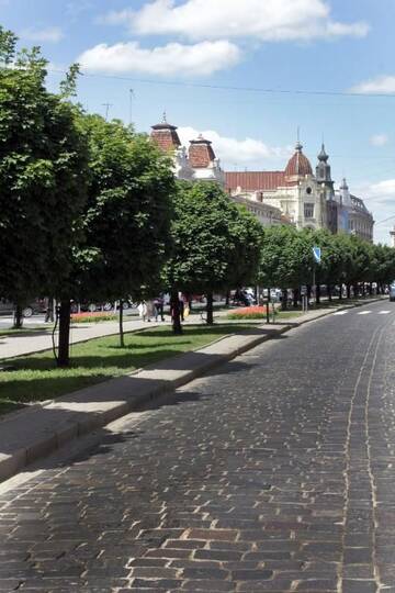 Фото номера Апартаменты Апартаменты Avenue Apartments г. Львов 35