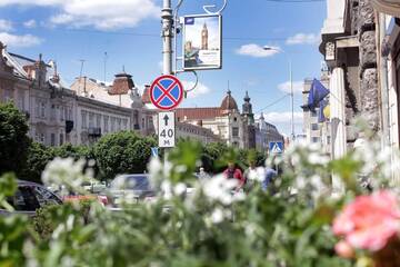 Фото номера Апартаменты Апартаменты Avenue Apartments г. Львов 50