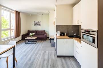 Фото номера Апартаменты с 1 спальней Апартаменты Central Park Apartments г. Львов 26