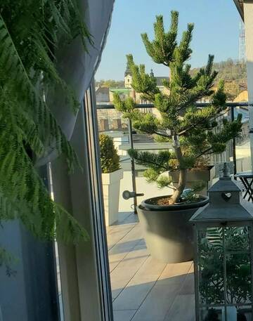 Фото номера Апартаменты Апартаменты Apart-terrace on Baker Street г. Львов 71