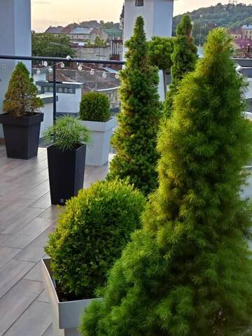Фото номера Апартаменты Апартаменты Apart-terrace on Baker Street г. Львов 89