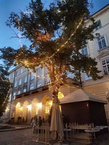 Фото номера Апартаменты Апартаменты Vera apartment in the ♥of lviv г. Львов 15