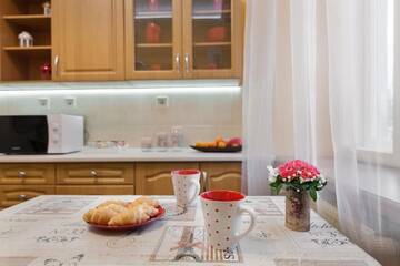 Фото номера Апартаменты Апартаменты Vera apartment in the ♥of lviv г. Львов 21