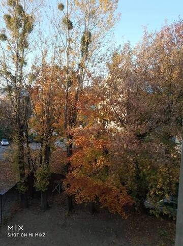 Фото номера Апартаменты Апартаменты Vera apartment in the ♥of lviv г. Львов 62