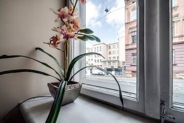 Фото номера Апартаменты Апартаменты Apartament on Lesya Ukrayinky г. Львов 19