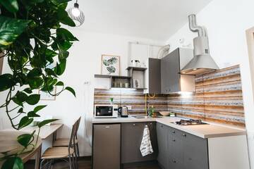 Фото номера Апартаменты-студио Апартаменты "Green Oasis Apartment" г. Львов 18