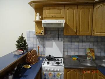 Фото номера Апартаменты - 1-й этаж Апартаменты Апартаменти у Львові г. Львов 12