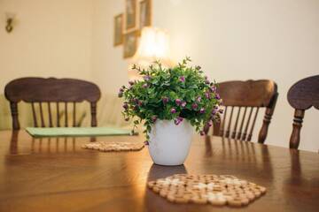 Фото номера Апартаменты с 1 спальней Апартаменты Big Dining Room Apartment г. Львов 43