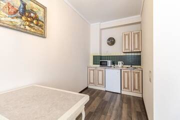 Фото номера Апартаменты с 1 спальней Апартаменты Opera House Apartment 3 г. Львов 45